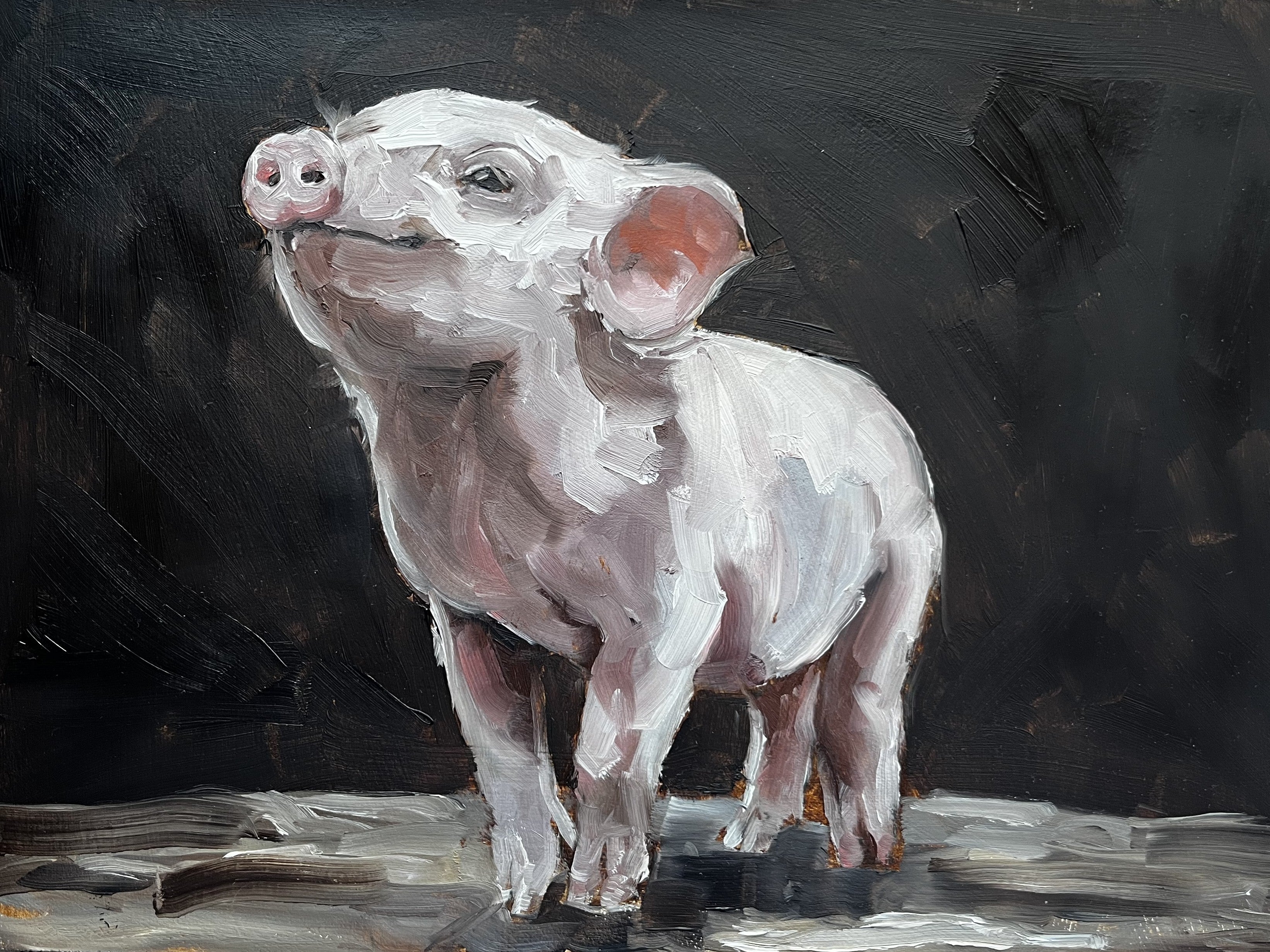 Happy Pig