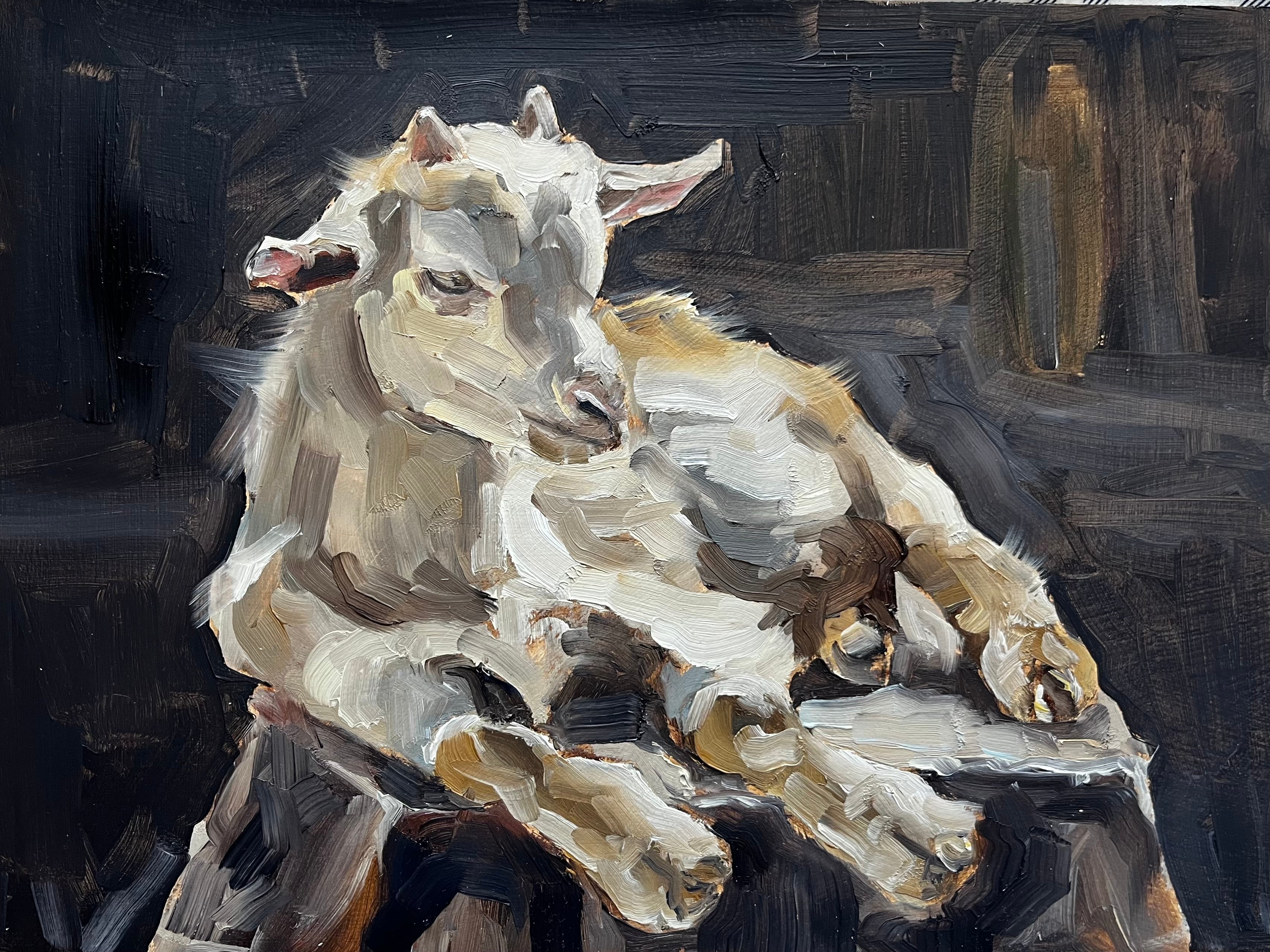 Sleepy Goat
