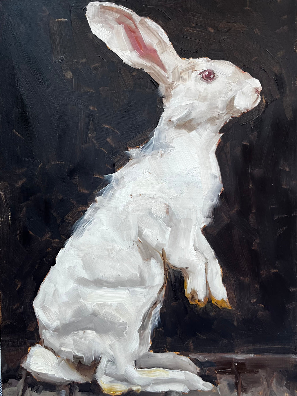 White Bunny