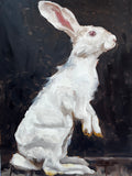White Bunny