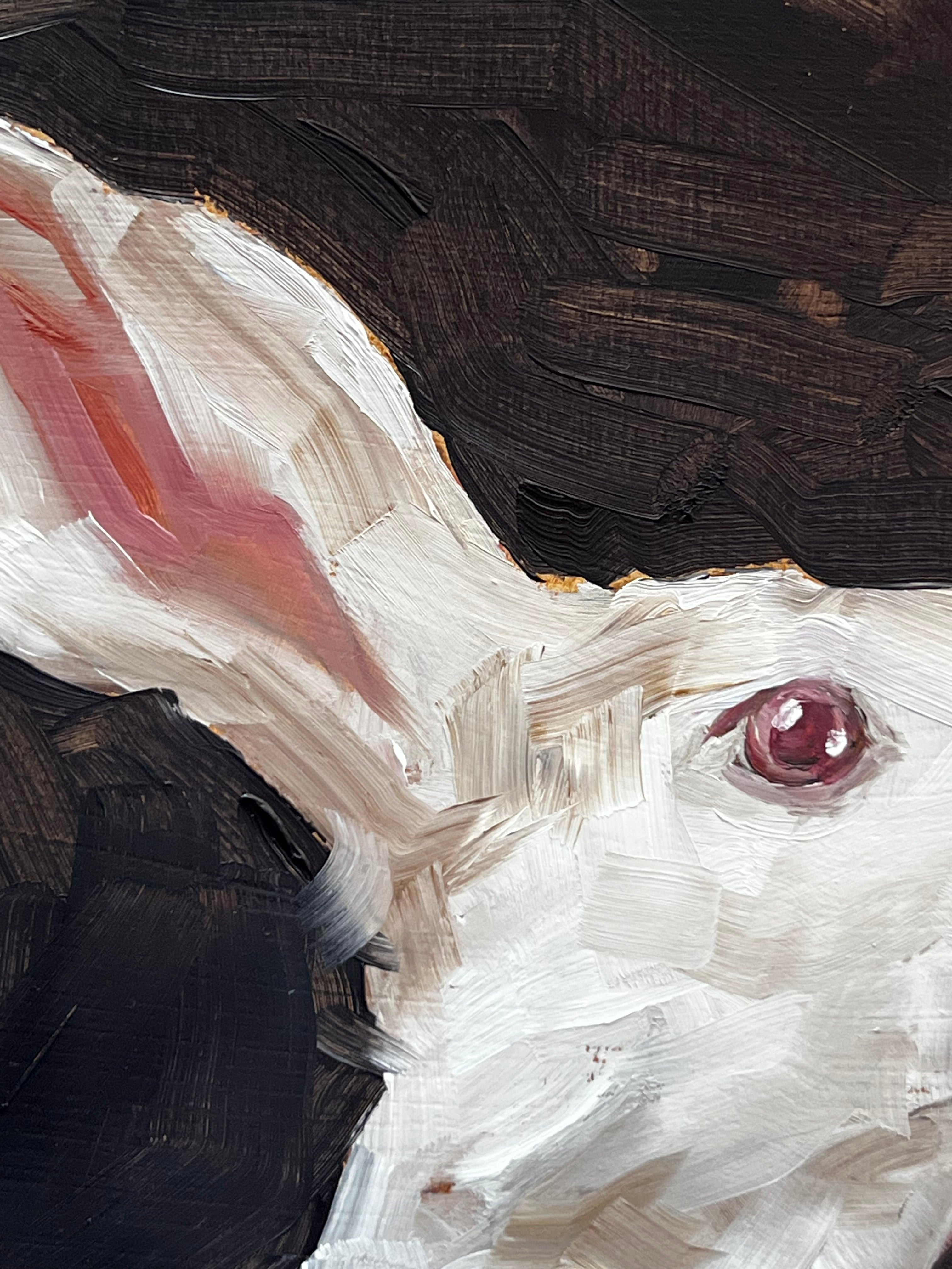 White Bunny