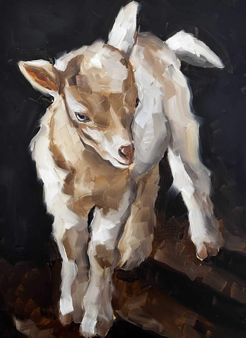Brown Goat
