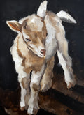 Brown Goat