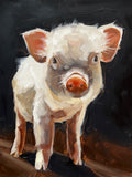 Friendly Pig