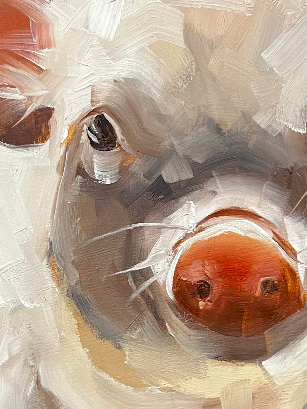 Friendly Pig