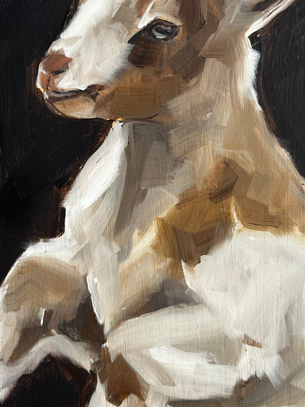 Energetic Goat