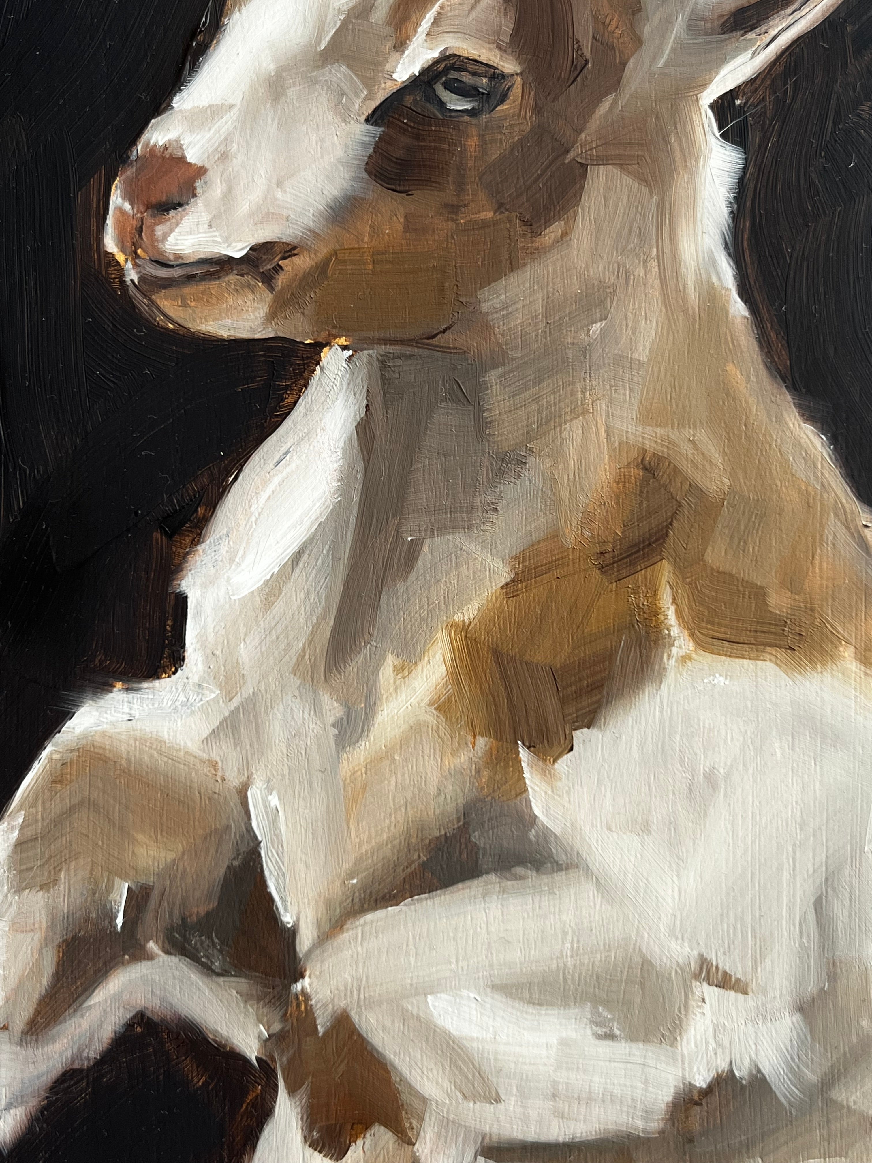 Energetic Goat