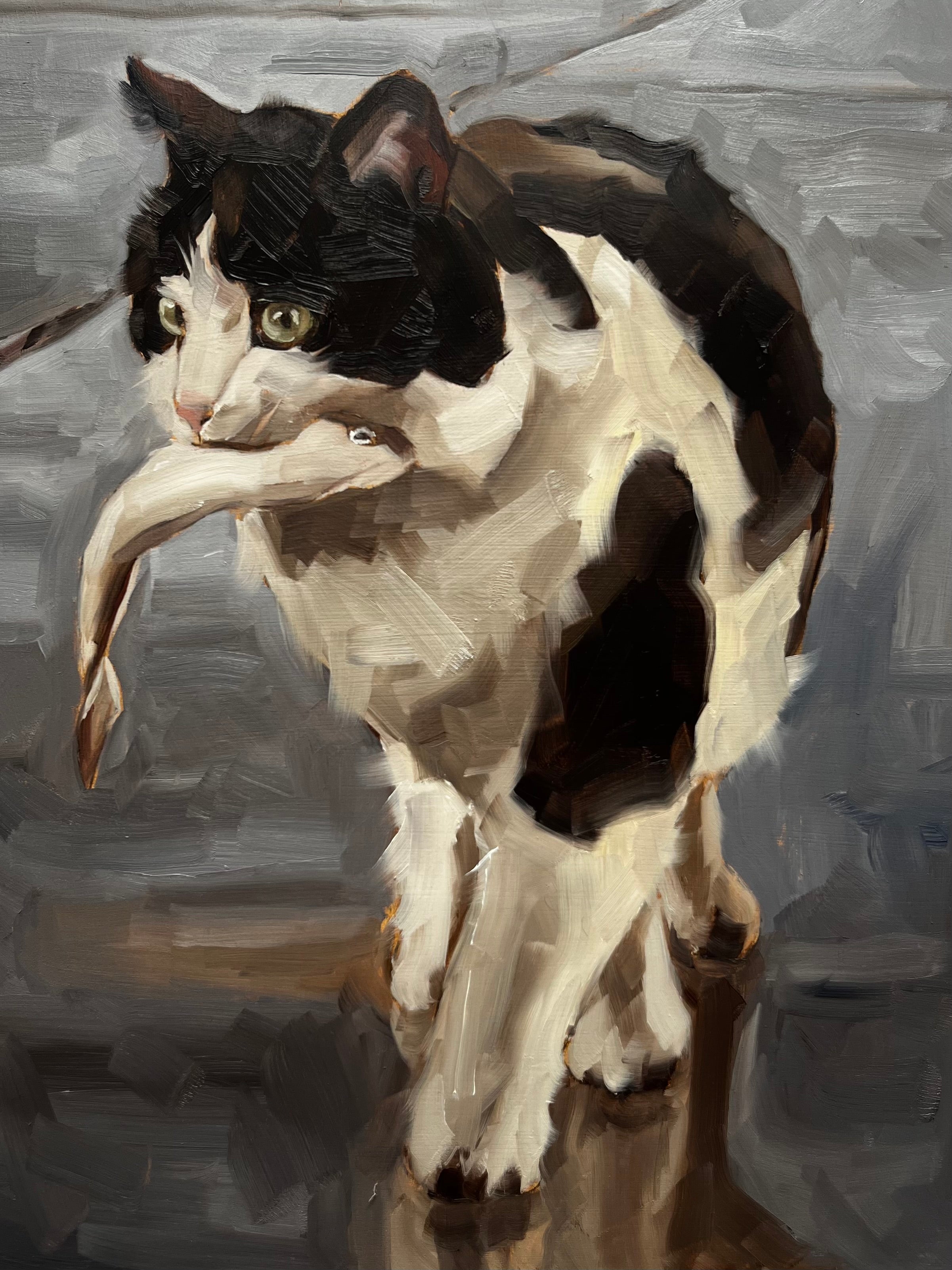 Cat with Fish