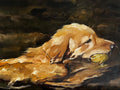 Swimming Dog