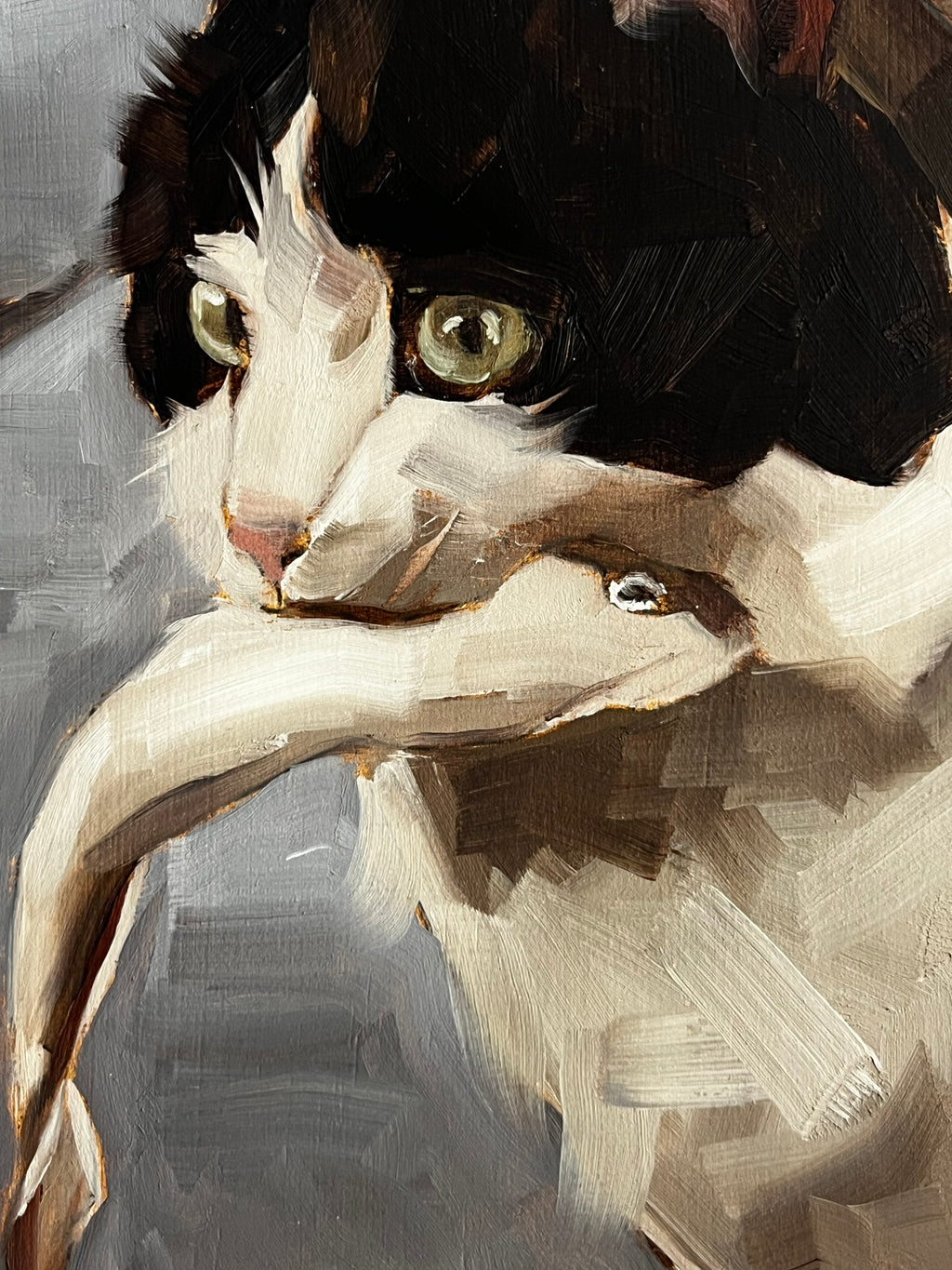 Cat with Fish