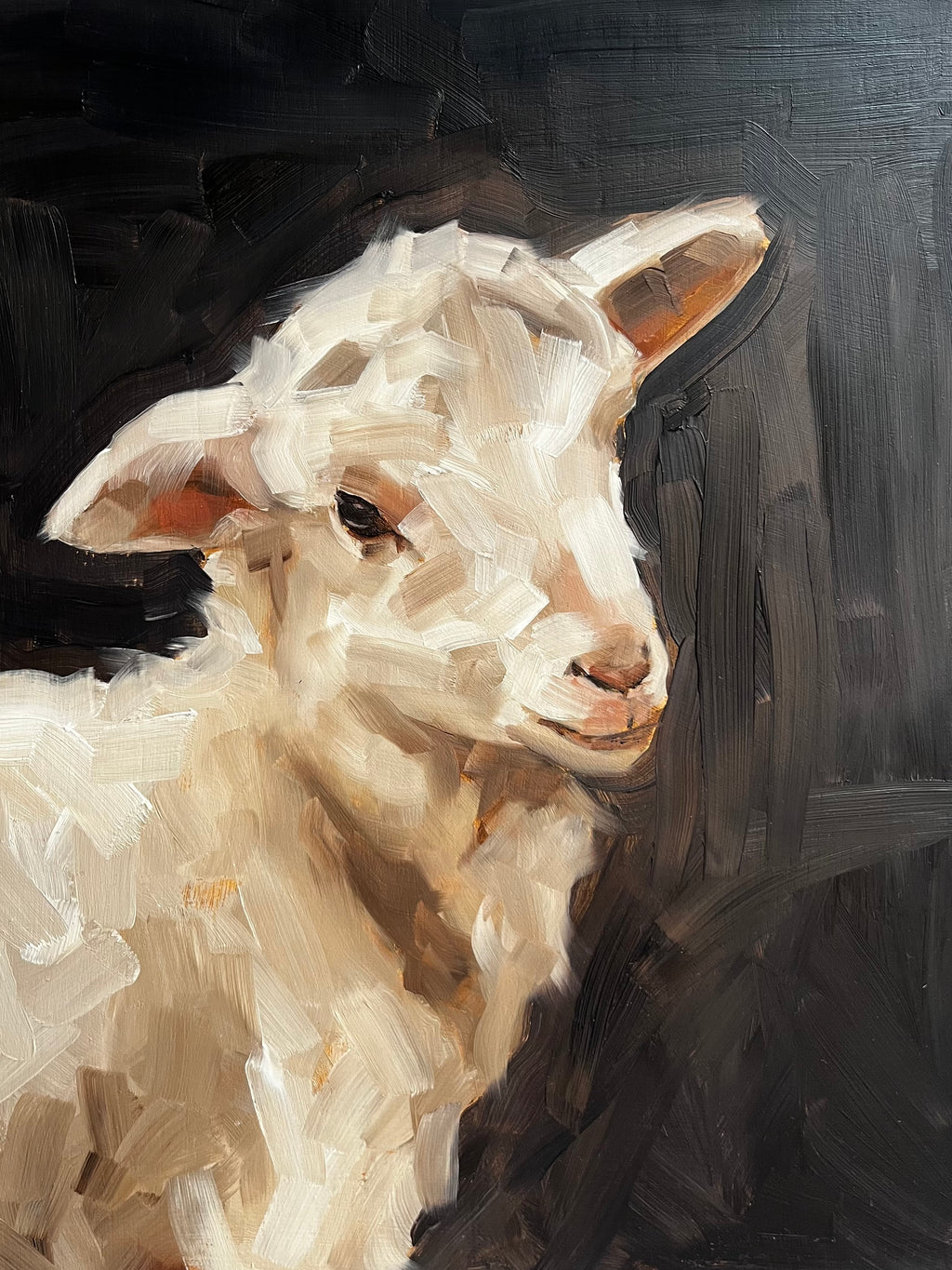 Little Sheep