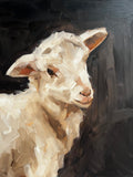 Little Sheep