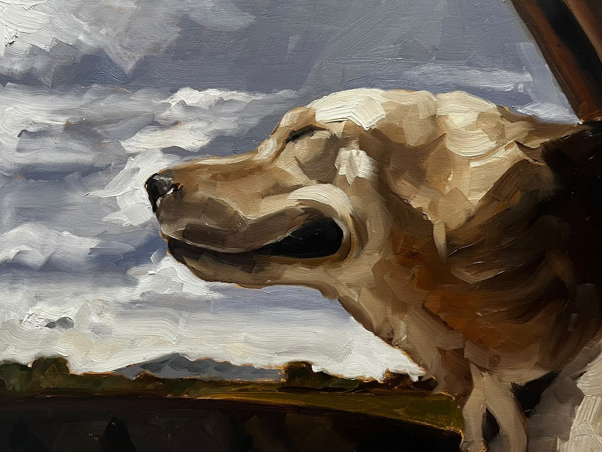 Nostalgic Dog