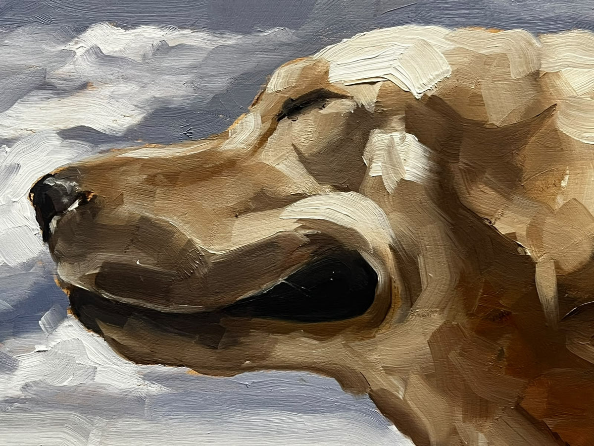 Nostalgic Dog