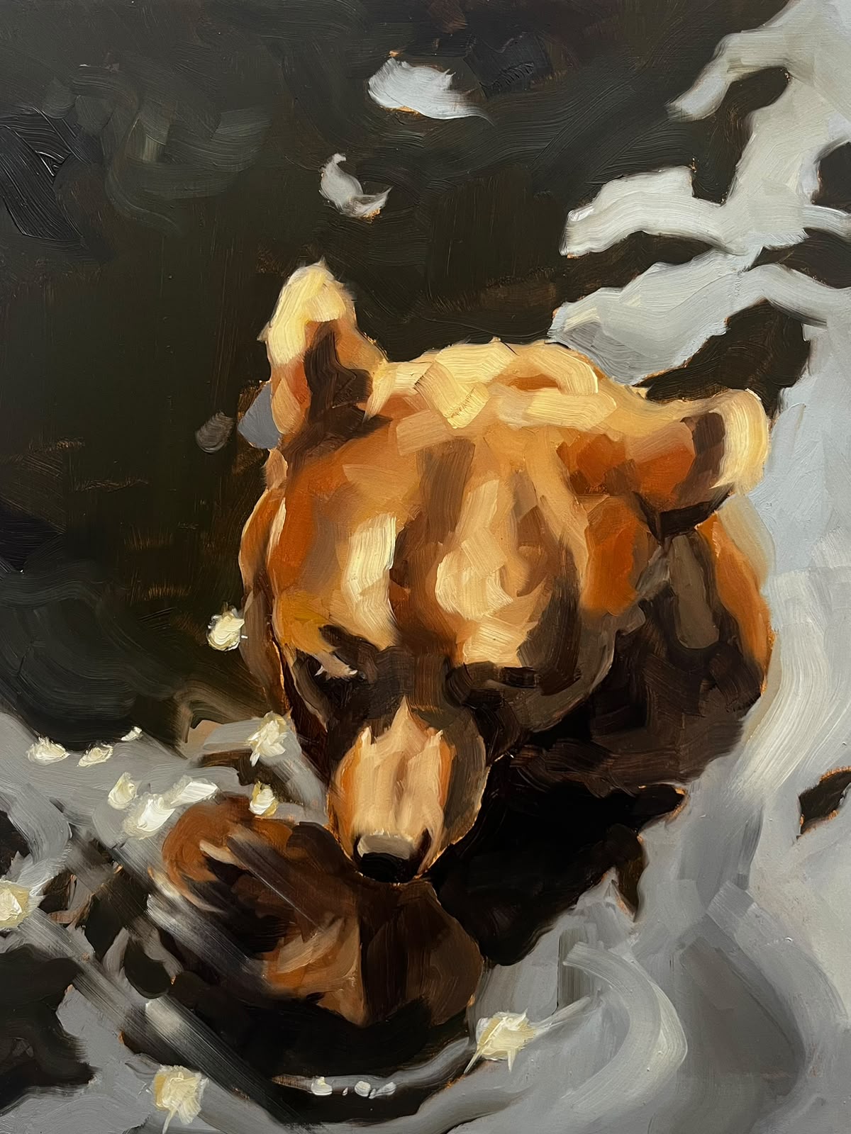 Bear