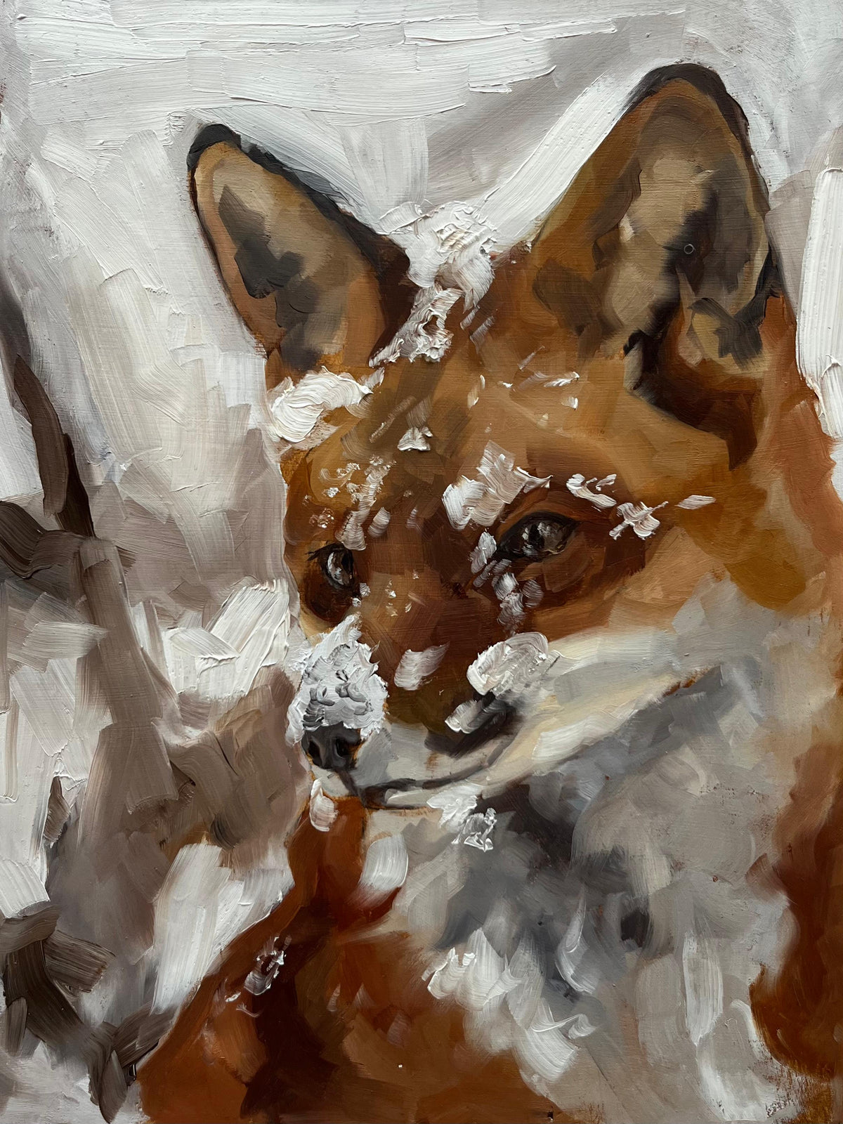 Snowy Fox