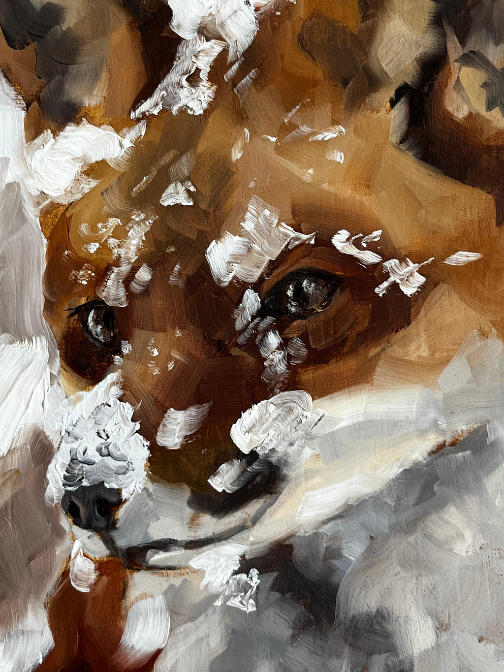 Snowy Fox