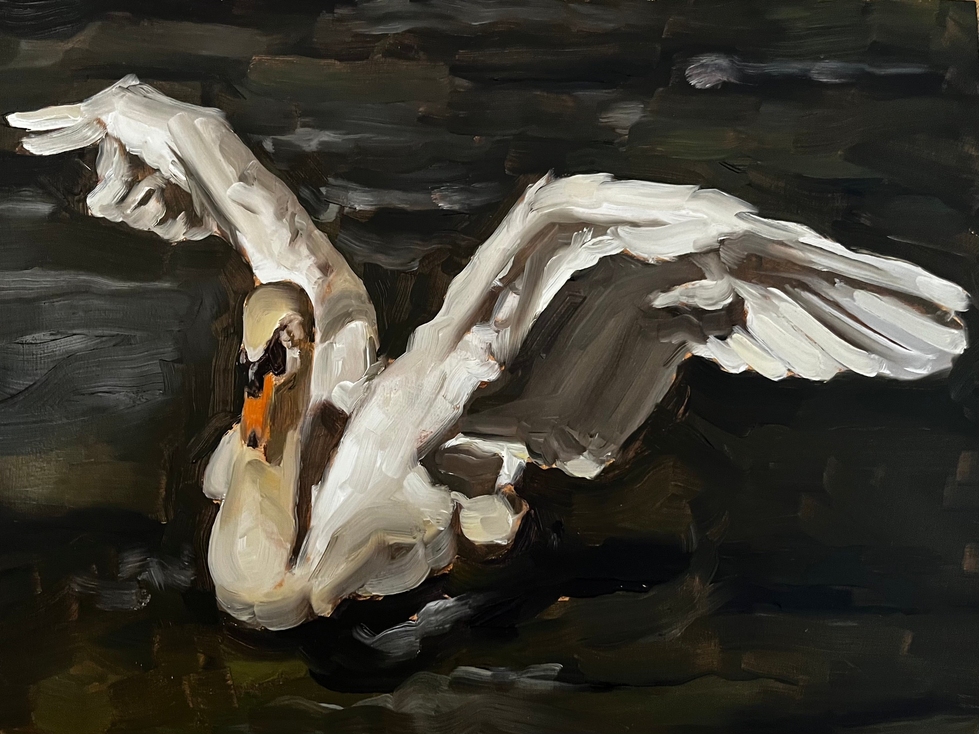 White Swan